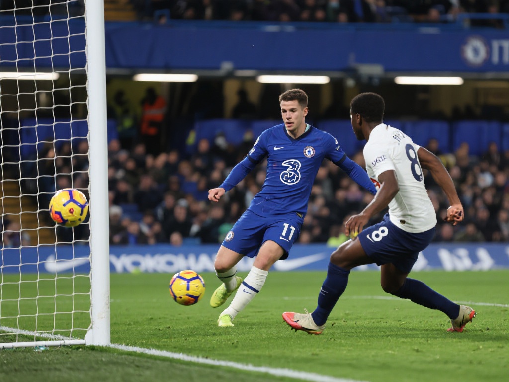 梅里诺与阿 梅里诺与阿